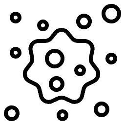 Site